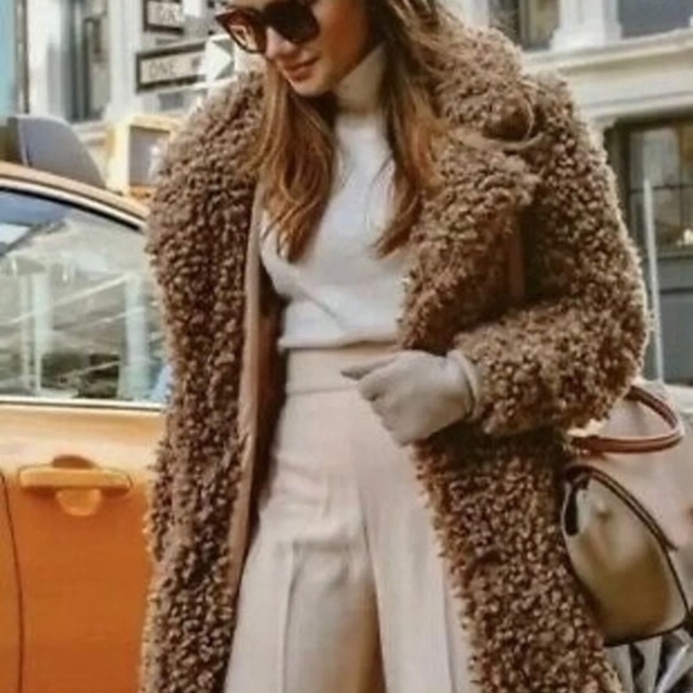 Zara Teddy Coat